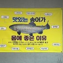 덕유산 송어 이미지