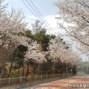 봉양건강축구캠프장 이미지