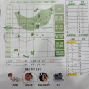 건청 | [일산보청기] 한쪽 귀 난청 방치하면 안 되는 이유 (오티콘 인텐트1 착용 후기)