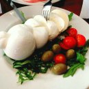 스텔라 민박 이미지