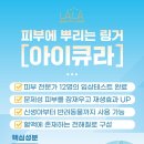 이아이큐랜드