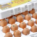 황금알 농장 이미지