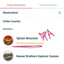 주식회사 위드랜드뷰티 | [도쿄] 디즈니랜드 어트랙션, dpa, pass권, 웨이팅 후기(26.03.13 금요일)