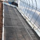 뚱이농장 이미지