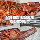 광성 | 동해 홍게 3KG 자연산 박달홍게 광성홍게장군 배송 솔직후기