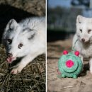 미소지은농장 이미지