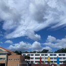 초당초등학교 이미지