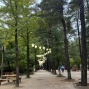 힐링나라 이미지