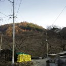 3.1운동 기념비 이미지