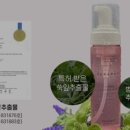 피누스스토어더에코