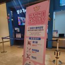 태교여행 대구편: 아쿠아리움 할인/주차/후기 + 무료 야외 테마파크 주라지