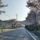 대금산진달래길(트레킹) 이미지