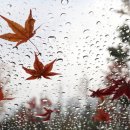 잇올스파르타마포신촌독서실 이미지