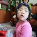 승진이네 농장 이미지