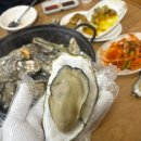 다담아 | 통영 굴 맛집 코스요리로 즐기는 다담아해물뚝배기 내돈내산 후기