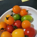 행운카센타 이미지