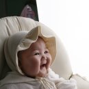 하이베라스텔 이미지