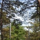 김포국제조각공원 이미지