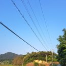 더힐링식물원야영장 이미지