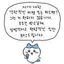 댕뀨