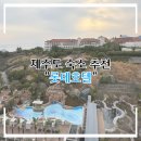 롯데호텔제주 | [제주도] 서귀포 5성급 호텔, 제주 롯데호텔, 호캉스에 적합한 호텔 추천 후기