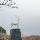 색달동-16 | 제주도 겨울 여행지 가볼만한 곳 추천, 1100고지 탐방로(12/16 후기)