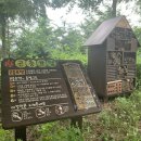 상신초등학교 정문 이미지