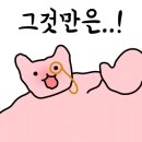 마파구이