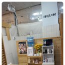 래쉬드디바