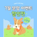 데일리독인천강아지분양