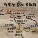 보건소사거리1(보건소앞) 이미지