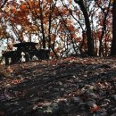 발이봉길 이미지