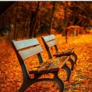 건강안마원 이미지