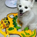 개좋은날 이미지