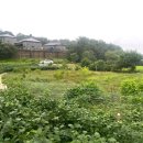 감정2리경로당 이미지