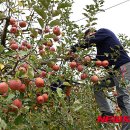 정병수농장 이미지