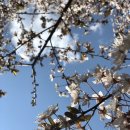 소산미나리농원 이미지