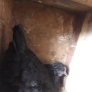 현주슈퍼 이미지