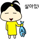 골든레시피 이미지