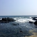 zㅔ주도 zi존이ㄷr ...★(1)