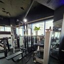 헬스피아 이미지