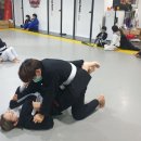 라이온 경찰 합기도 이미지