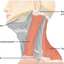 경희제생한의원 이미지
