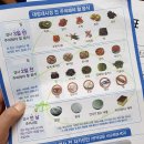 대전 둔산 속편한내과 건강검진 종합검진 예약 완료