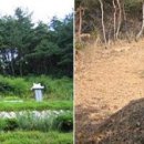 구림면사무소 이미지