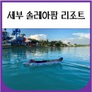 레아네팜 | 세부 솔레아팜 리조트 부대시설 (가족여행 추천)
