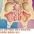 새천년건강한약국 이미지