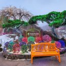 무궁화동산 족구장 화장실 | 가평가볼만한곳 겨울 야경명소-아침고요수목원 밤풍경(오색별빛정원전 정보)