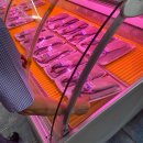 영사정민물장어직판장 이미지