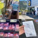 캠핑카 렌트 방법, 가격, 주유비, 할인방법, 사용법, 참고사항, 렌트 후기